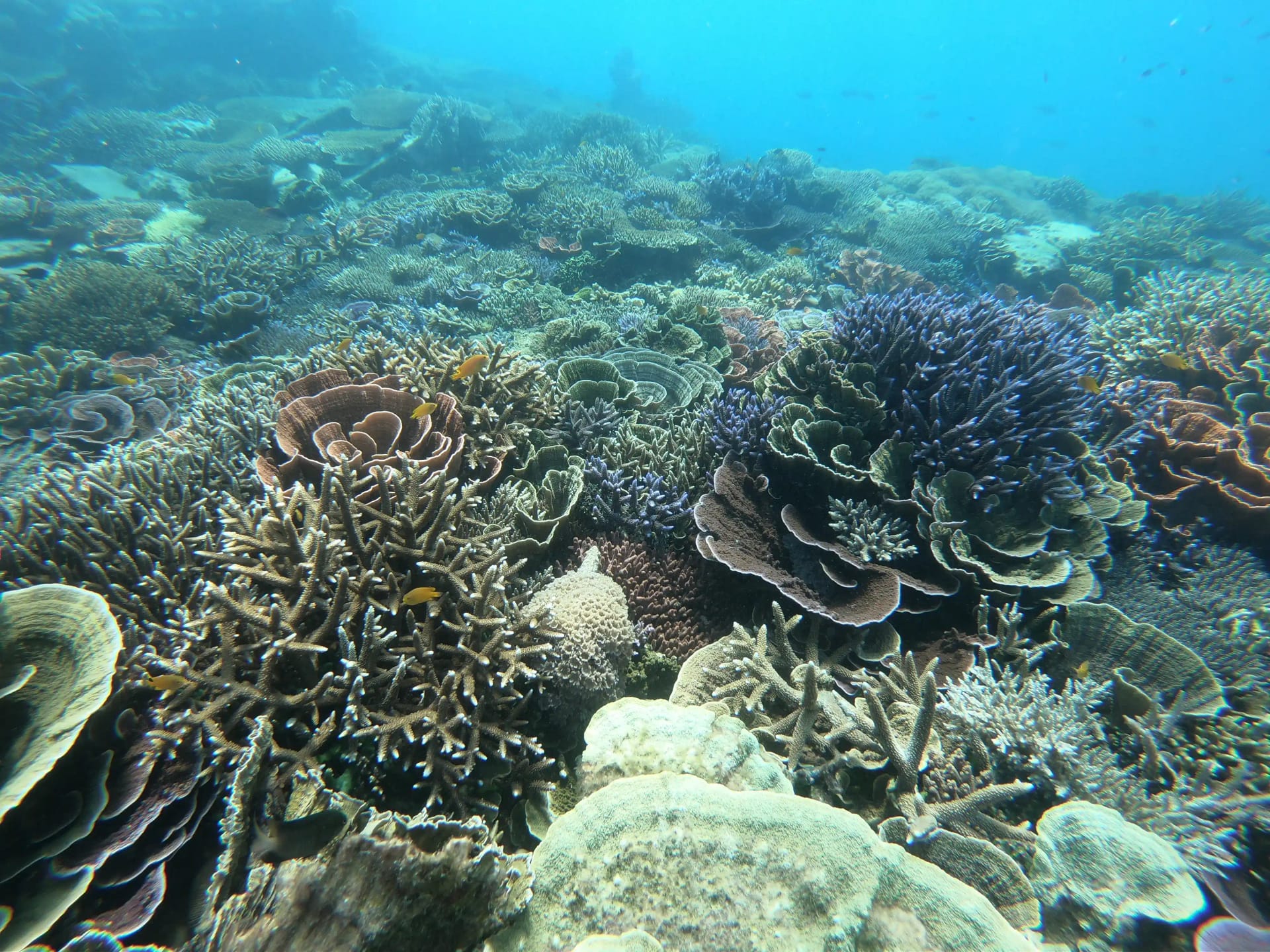 Private Eco Boat Tour