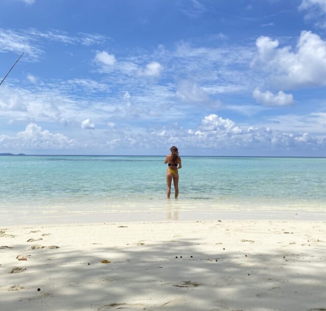 IMG_3233 IMG_3233